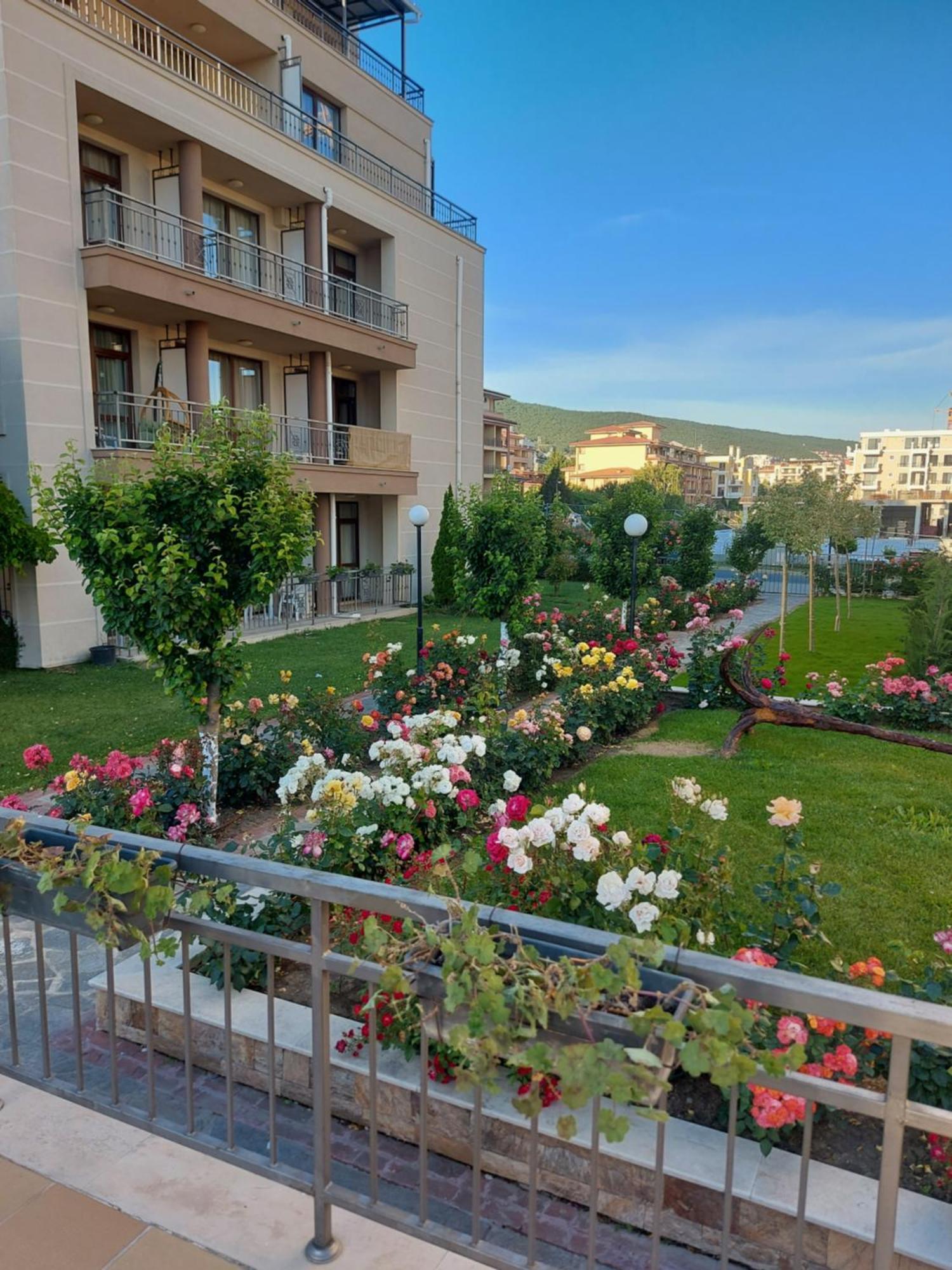 Charming Studio In Sorrento Sole Mare Sveti Vlas Eksteriør billede